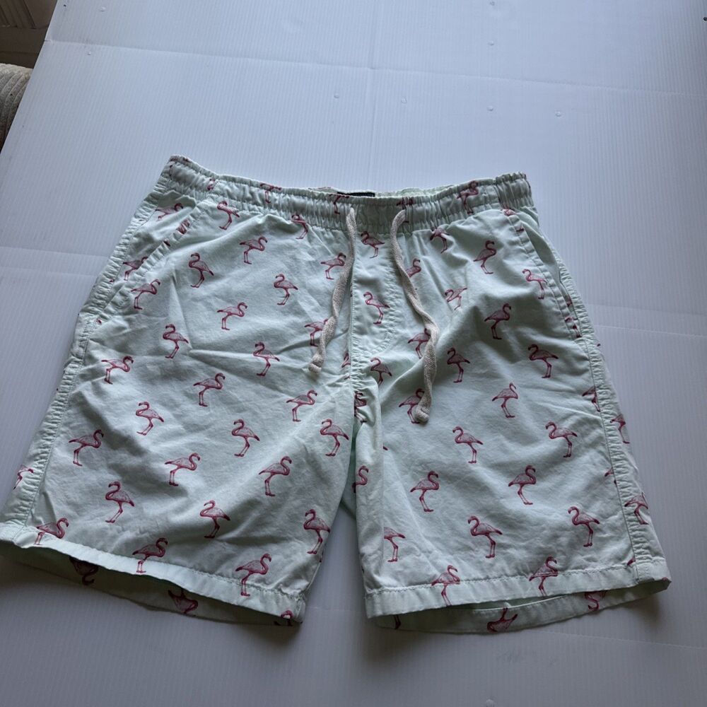 Massive Apparel Men’s Flamingo Print Shorts Size L Mint Green Drawstring Casual